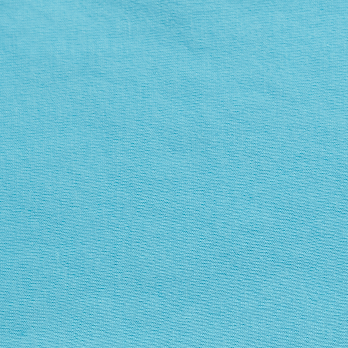 ComfortWash by Hanes GDH100 Freshwater