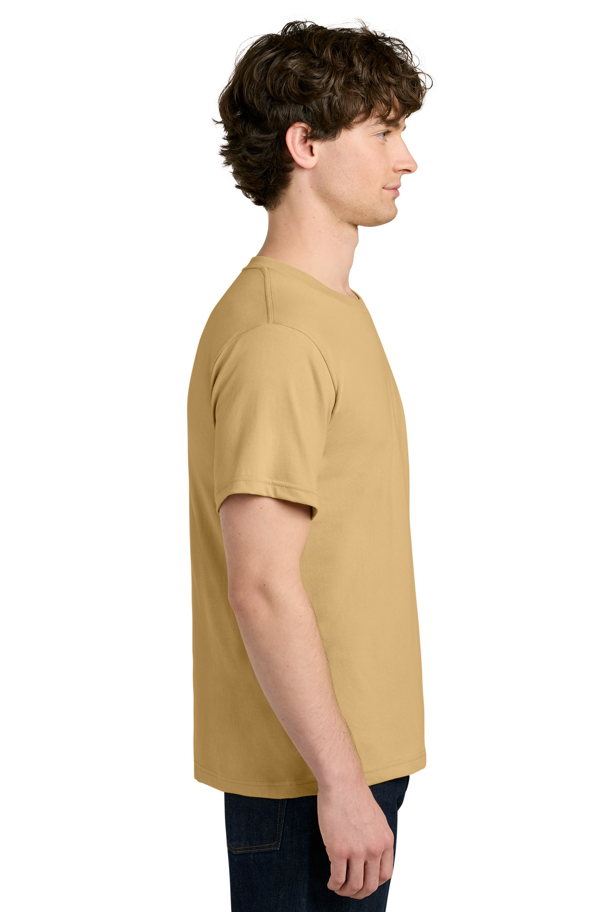 Picture for Camel