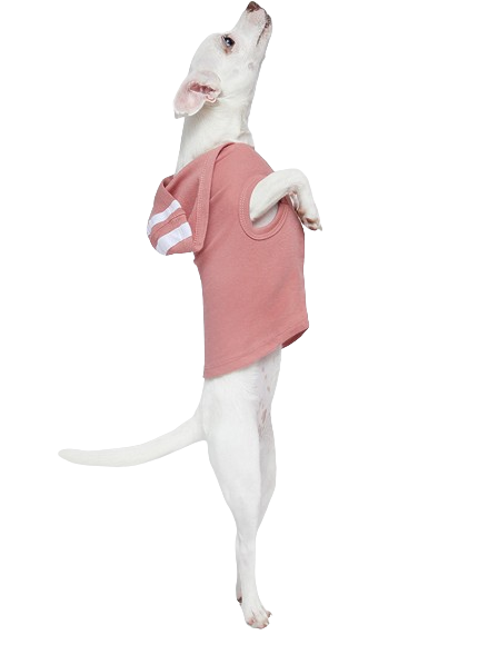 Picture for Mauvelous / White