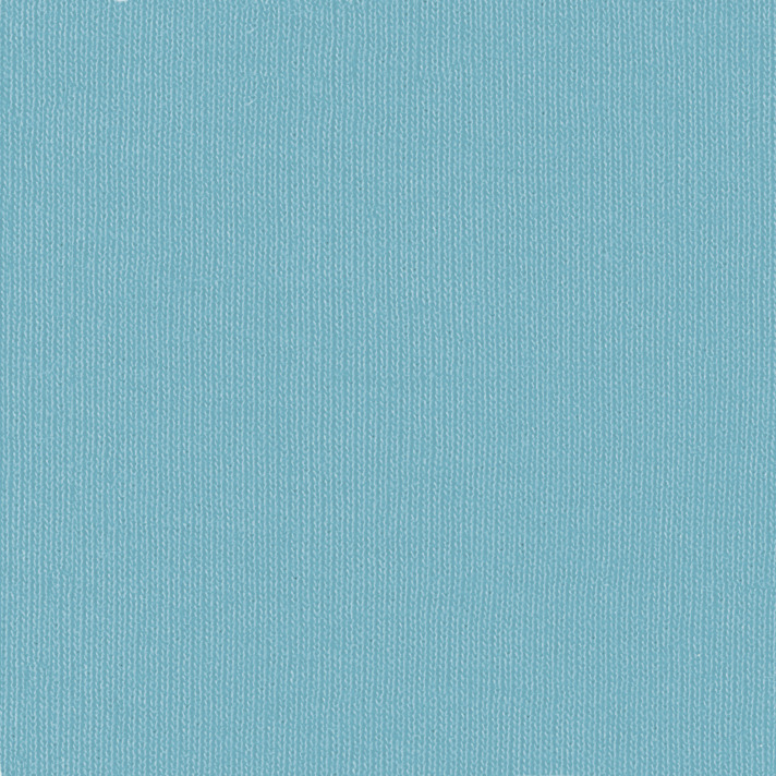 Bella + Canvas 3650 Turquoise