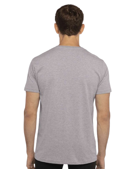 Next Level N3200 Heather Gray