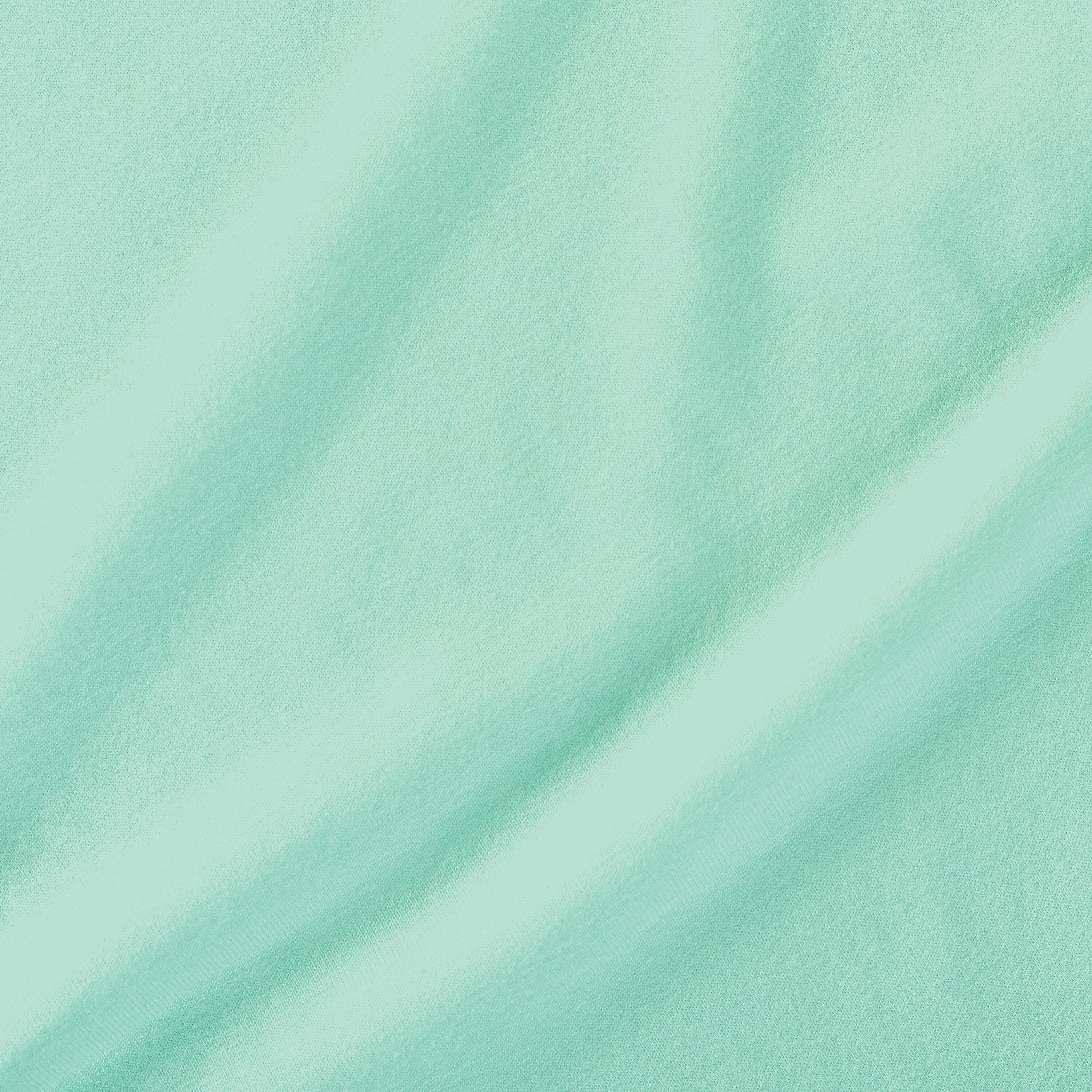 Jerzees 560LJE Mint To Be