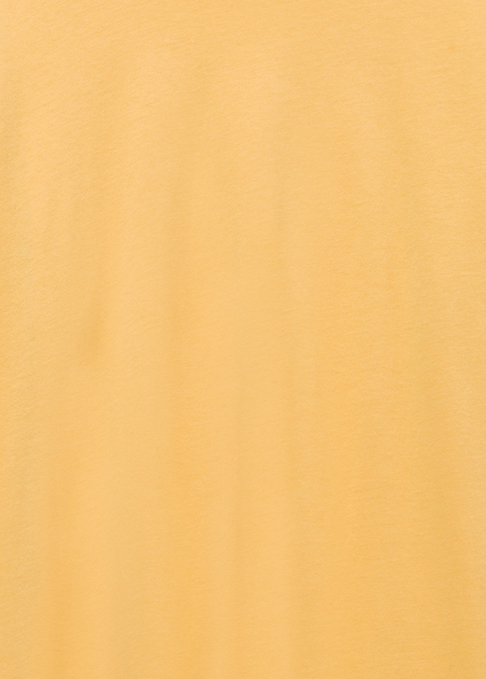Alternative AA6005 Yellow Ochre
