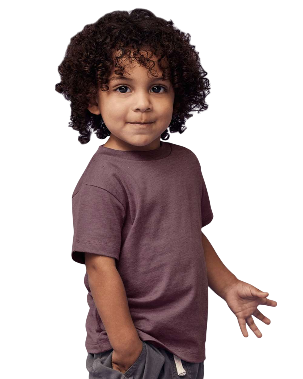 Bella + Canvas 3001T Heather Maroon