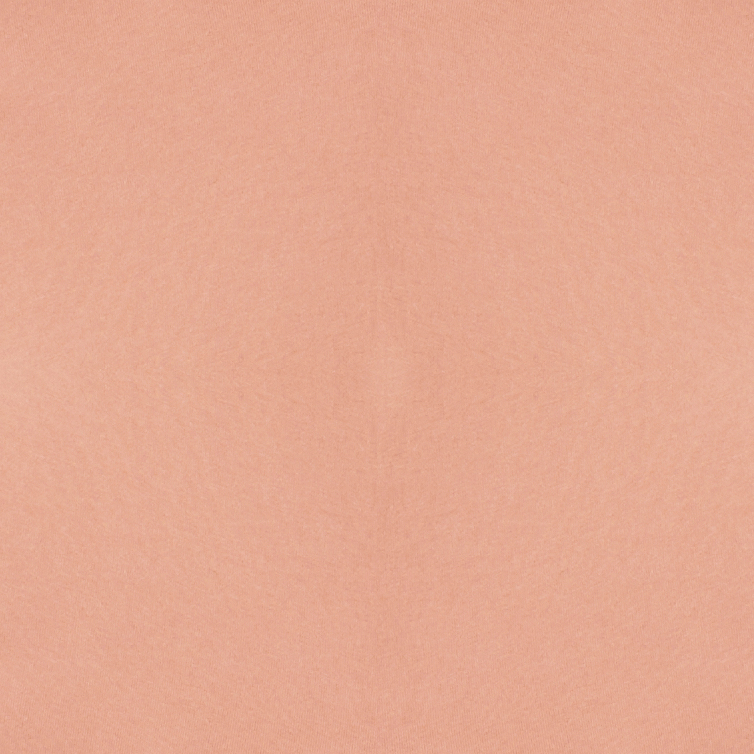 Bella + Canvas B6400 Terracotta